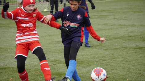 Regionális tornát rendeztünk